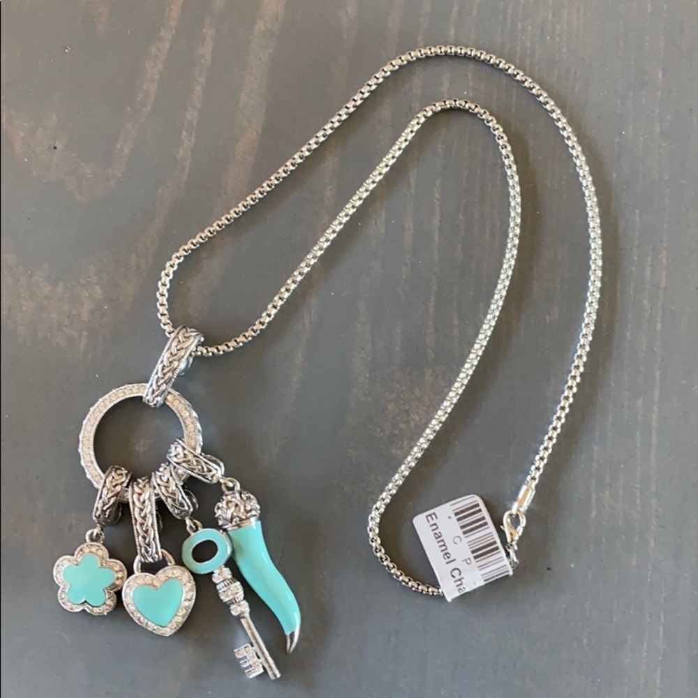 Pretty silver and turquoise charm necklace NEW♥️.